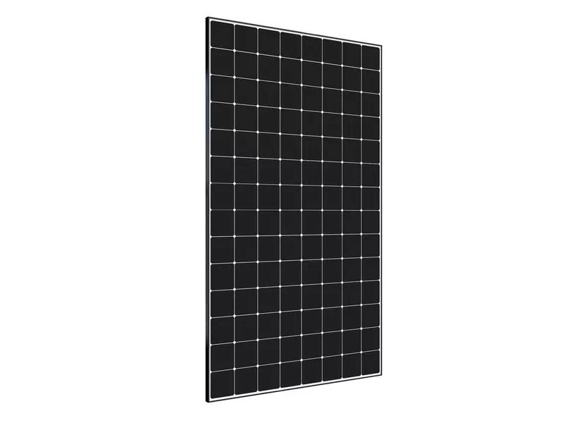 SunPower Maxeon 2 Panel