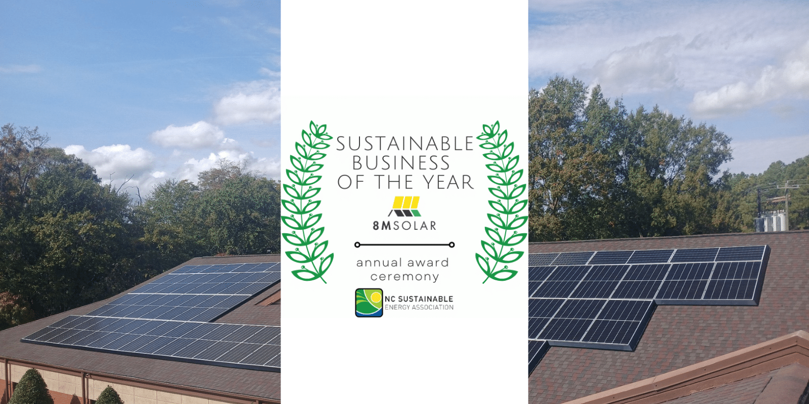 sustainable business of the year award