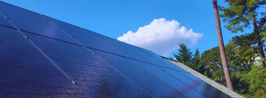 Trees and Solar