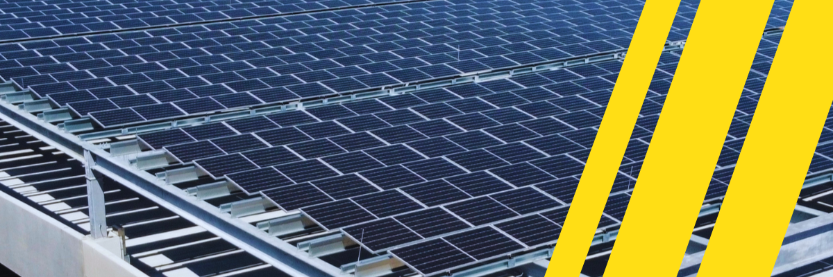 8MSolar vs. Blue Raven Solar: Which Solar Installer Is Right for You?